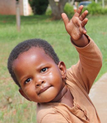 Other Ways to Give